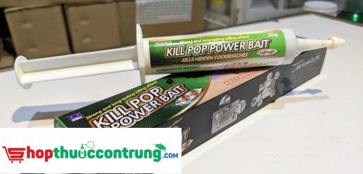 Kill Pop Power Bait
