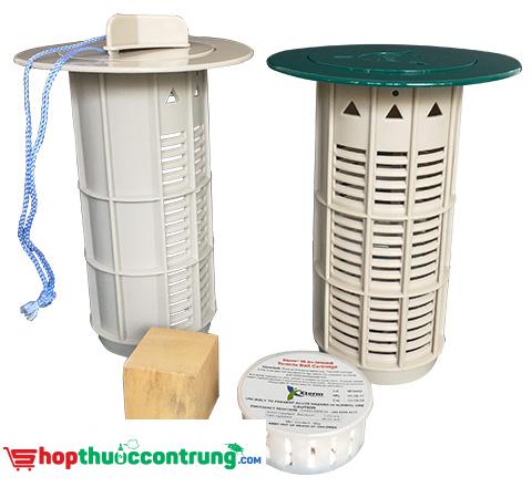 xterm-ig Xterm dưới mặt đất IG