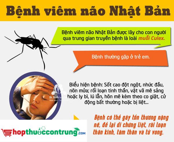trung gian lây Bệnh Viêm não Nhật Bản là loài muỗi Culex
