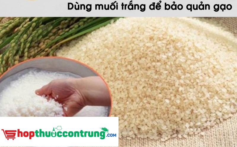 Diệt mọt gạo chỉ với một ít muối trắng