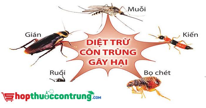 shop thuốc diệt côn trùng